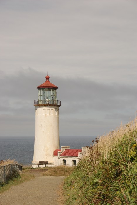 IMGP8228