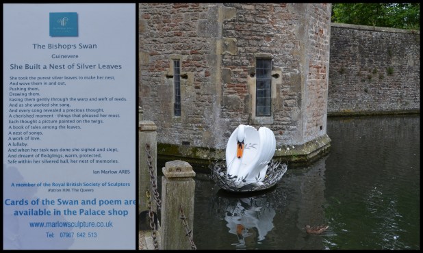 2013-09-17 Wells Tuesday4