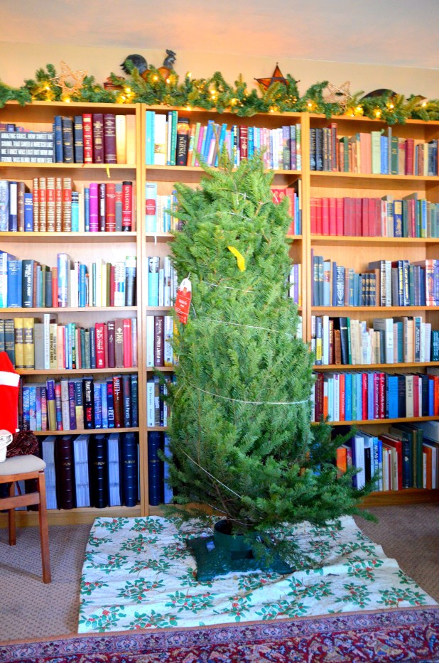 Mystery Tree 2013 001