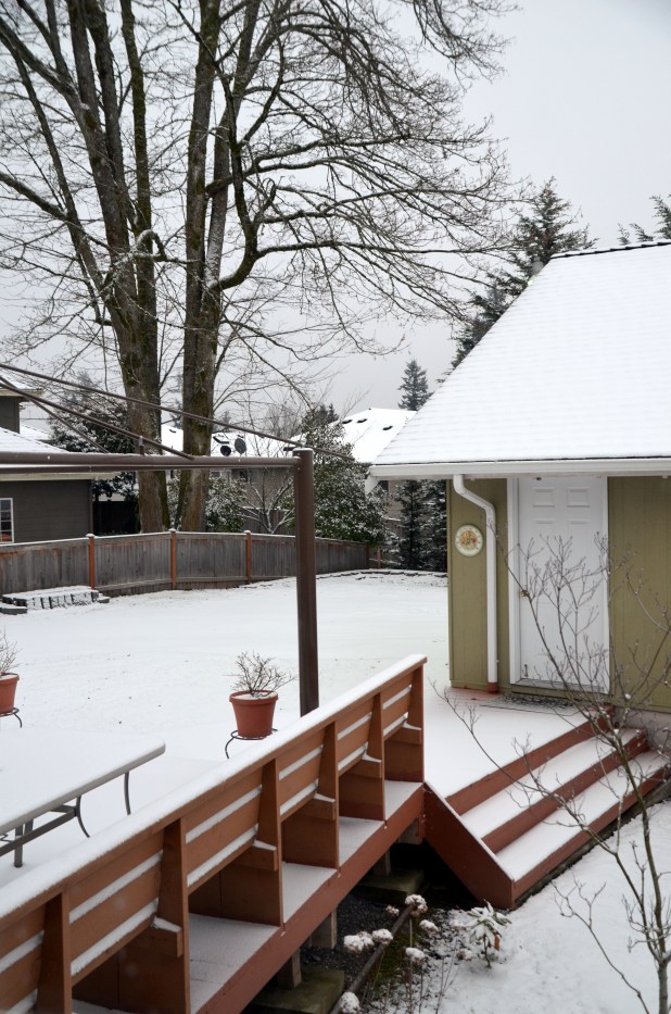 Vancouver & Snow 065