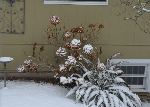 Vancouver & Snow 066