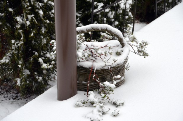 Vancouver & Snow 072