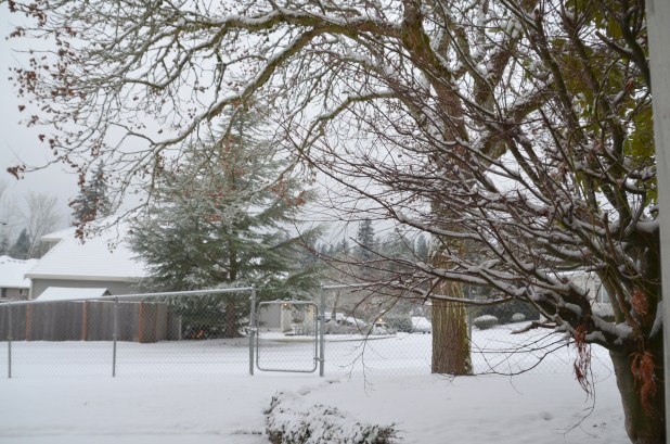 Vancouver & Snow 082