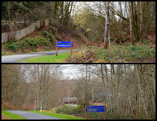 2014-01-15 winter trail