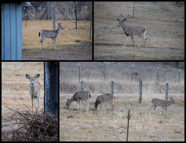 2014-03-17 Dan's March2