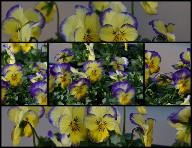 2014-03-25 paska yard