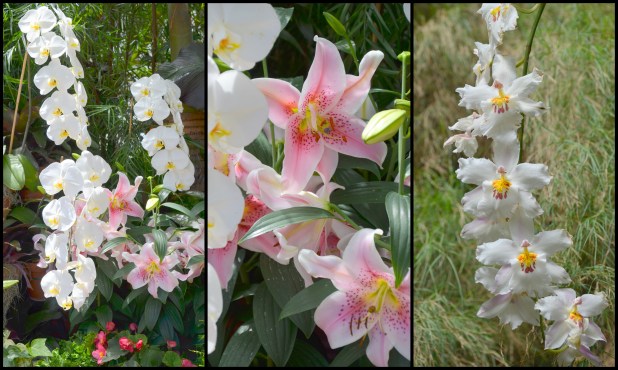 2014-05-03 Biltmore1