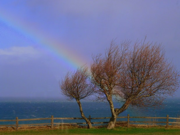 Food & George Wash Inn 033