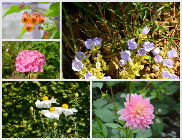 2014-07-07 Day 4 Gardens