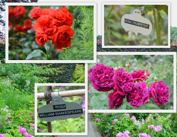 2014-07-07 Day 4 Gardens1