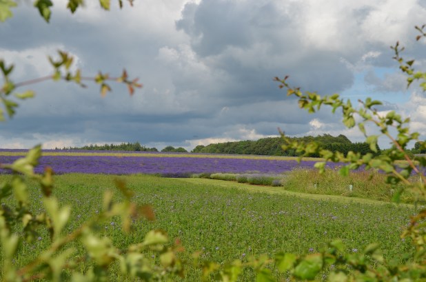 Sat. July 5-Chipping Campden 079