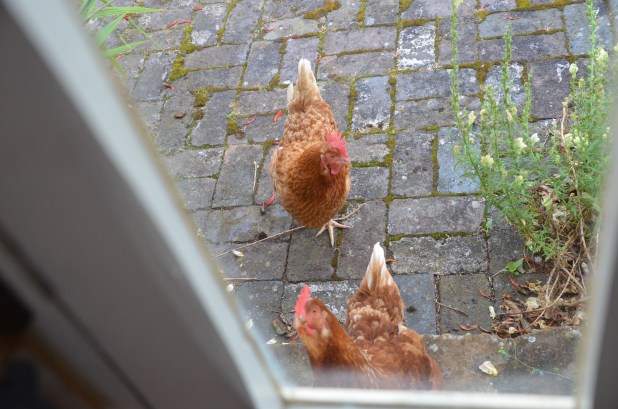 Sat. July 5-Chipping Campden 103