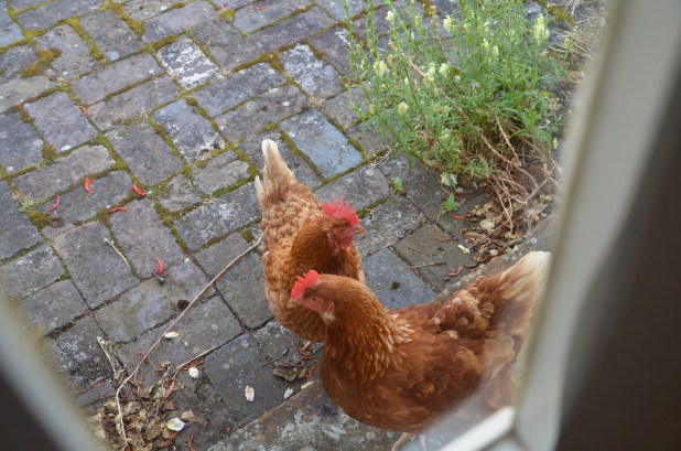 Sat. July 5-Chipping Campden 107