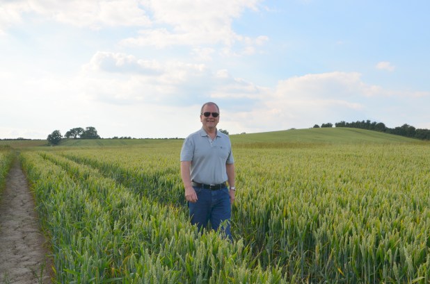 Walk About the Fox 019