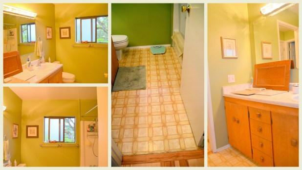 2014-05-29 Trees etc2