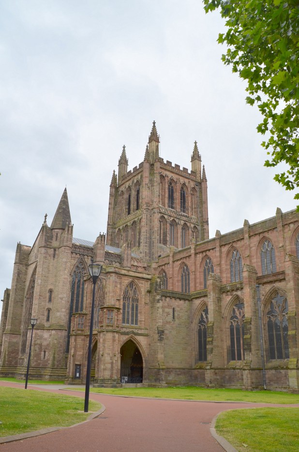 hereford 069