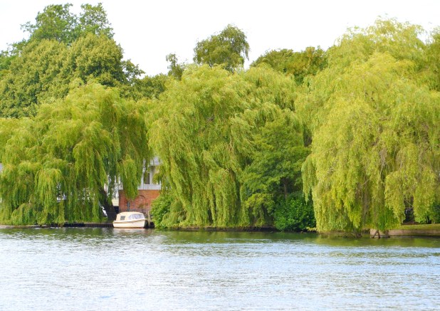 road to Henly day11 141