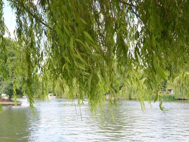 road to Henly day11 142