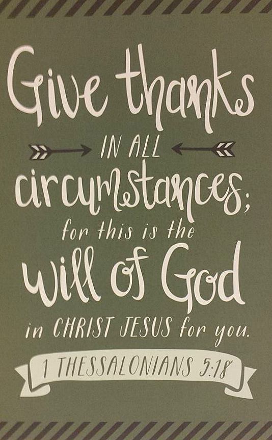 10991048_10206144761126297_2049962361815130297_n