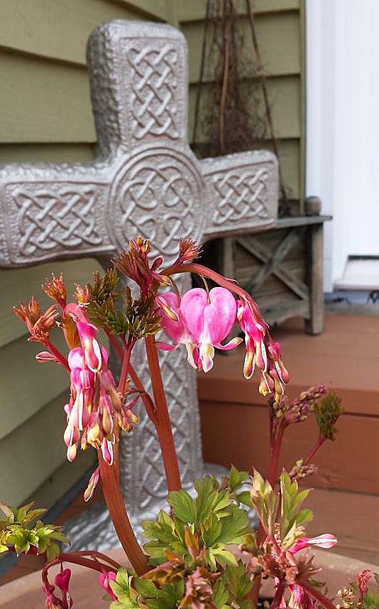 10996678_10206150368786485_4047292726354101890_n