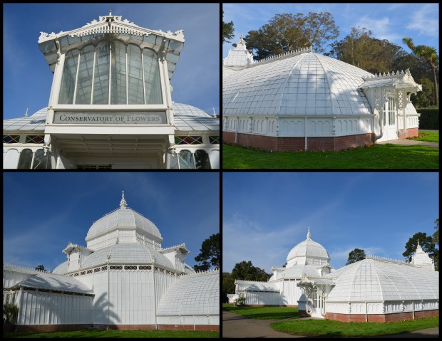 2016-01-21 Alice day S