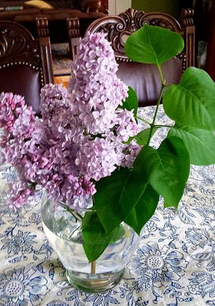 13006688_10209388302972816_6663315460268447190_n