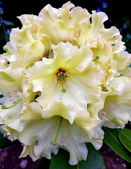 13062421_10209416118108177_8720609380336203899_n