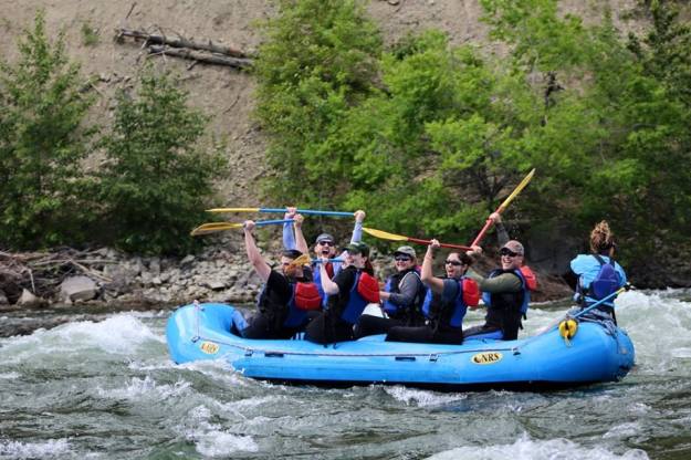 13423955_10156947245950702_6060616778637693461_n