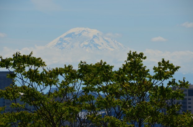 Father's Day 2016 042