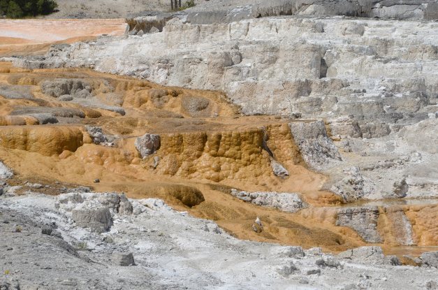 yellowstone day one 067