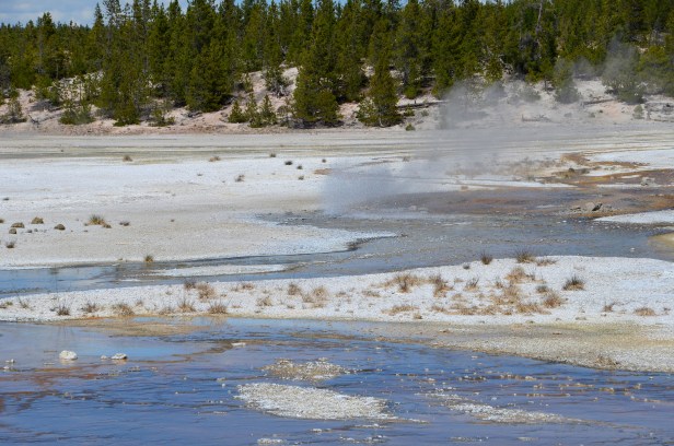 yellowstone day one 130