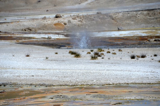 yellowstone day one 135