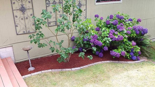 13669800_10210081555183688_3202962472776226734_n