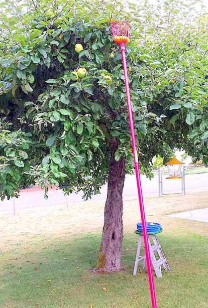 13697171_10210124456616197_6296178707291823861_n