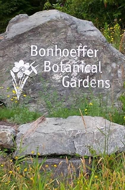 13716177_10210180205089874_593798001959634399_n