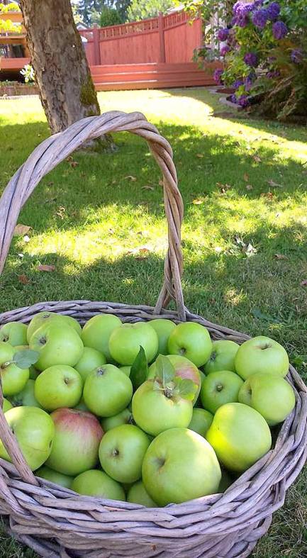 13726697_10210098459926296_4116432526728977439_n