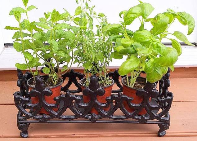 13781955_10210127151003555_2369765770047215953_n