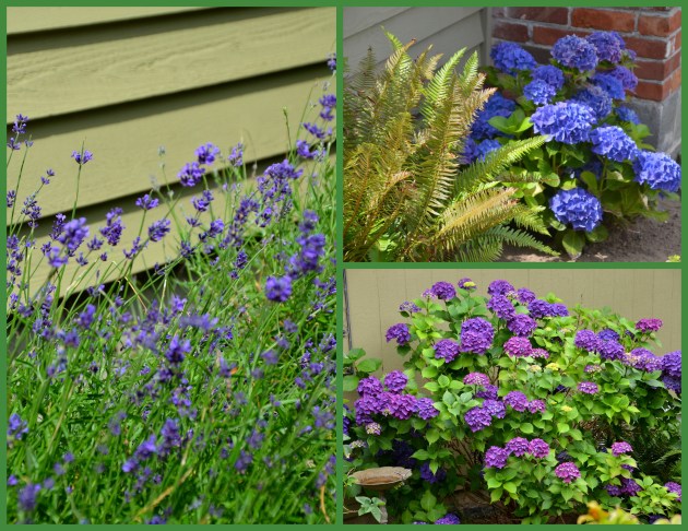 2016-07-03 the fourth of July1