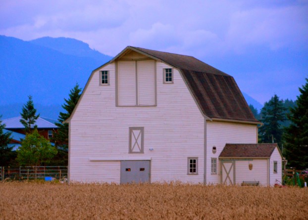 Canada new book launch 090