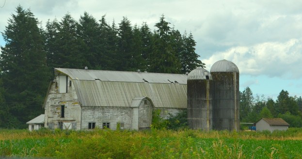 Canada new book launch 158