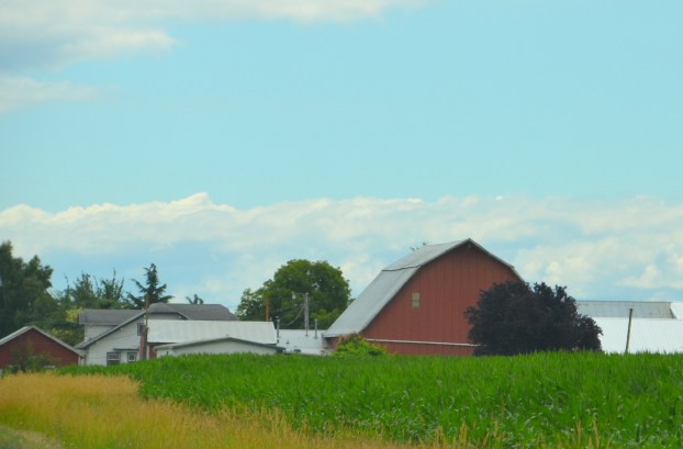 Canada new book launch 161