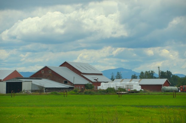 Canada new book launch 162