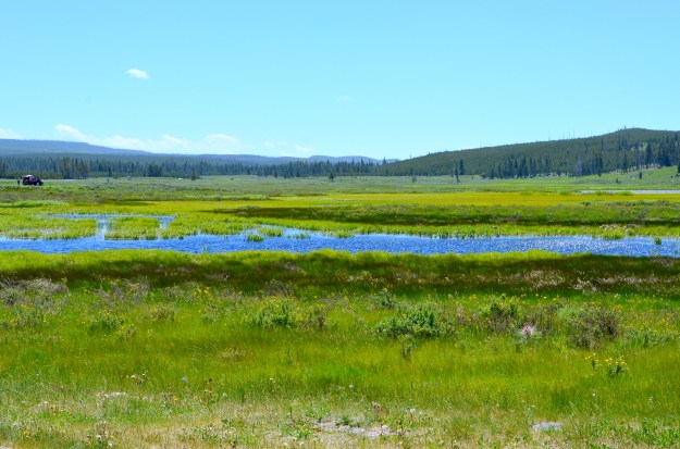 yellowstone day one 104