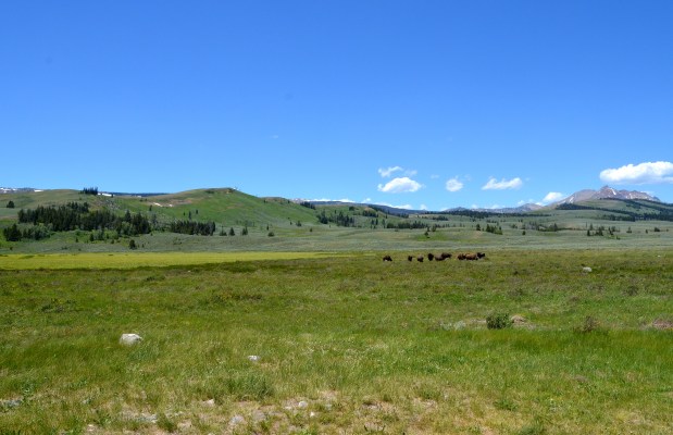 yellowstone day one 106