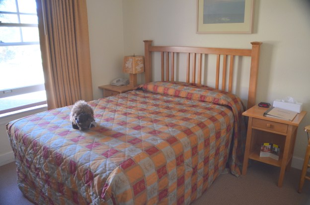 yellowstone day one 167