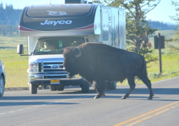 yosemite to Cody 001