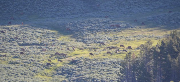 yosemite to Cody 005