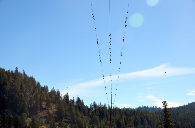 artsy fartsy country 003