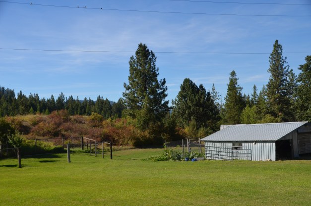 artsy fartsy country 011