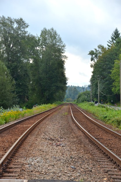 Canada new book launch 116